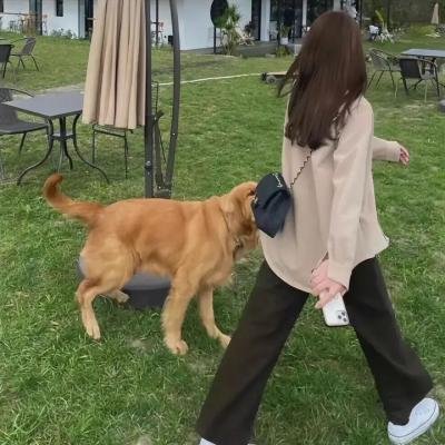 寻找治愈埃博拉病毒的方法
